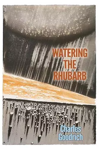 Watering the Rhubarb cover