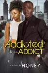 Addicted to an Addict cover