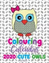 Colouring Calendar 2020 Cute Owls (UK Edition) cover