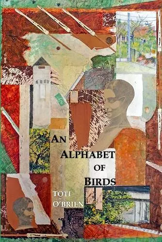 An Alphabet of Birds cover