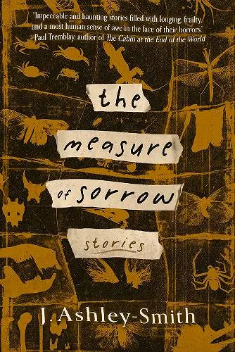 The Measure of Sorrow cover