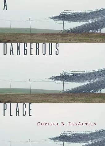 A Dangerous Place cover