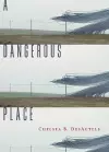 A Dangerous Place cover