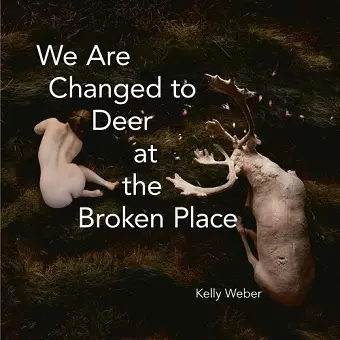 We Are Changed to Deer at the Broken Place cover