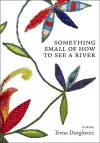 Something Small of How to See a River cover