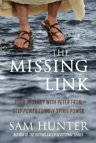 The Missing Link cover