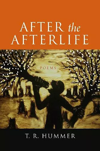 After the Afterlife – Poems cover