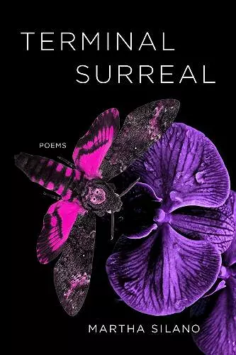 Terminal Surreal cover