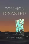 Common Disaster cover