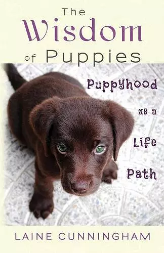 The Wisdom of Puppies cover