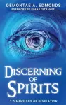 Discerning Of Spirits cover