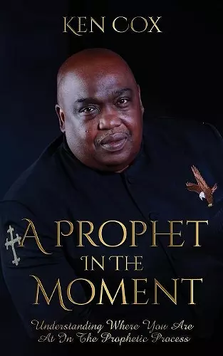 A Prophet In The Moment cover