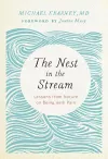 Nest in the Stream cover