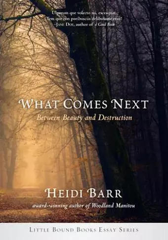 What Comes Next cover