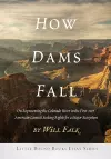 How Dams Fall cover