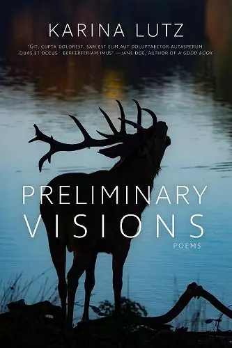 Preliminary Visions cover