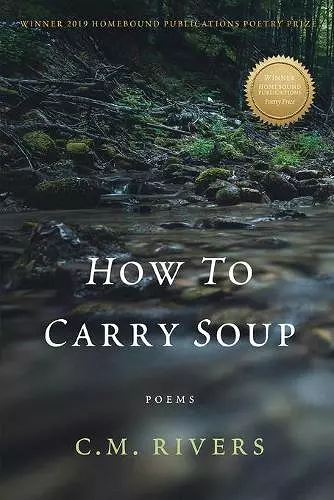 How to Carry Soup cover