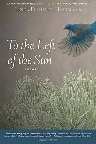 To the Left of the Sun cover