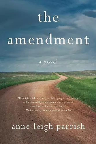 The Amendment cover