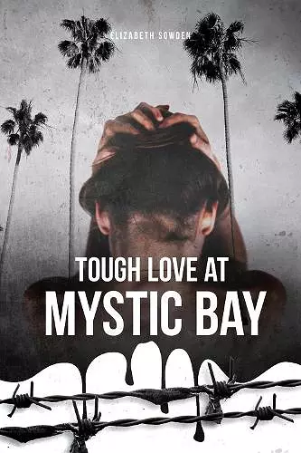 Tough Love at Mystic Bay cover