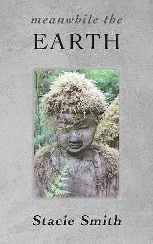 Meanwhile the Earth cover