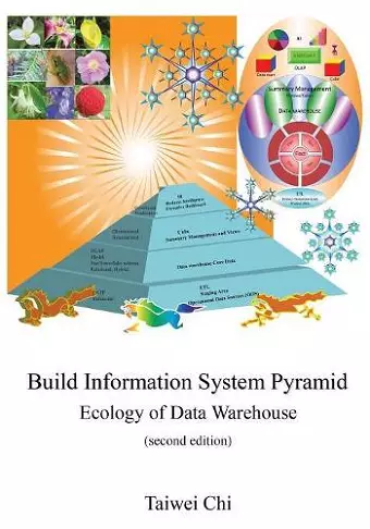 Build Information System Pyramid cover