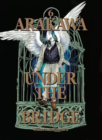 Arakawa Under The Bridge, 6 cover