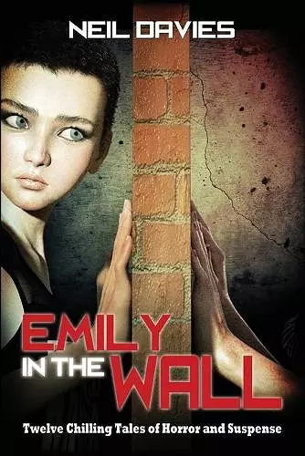 Emily in the Wall cover