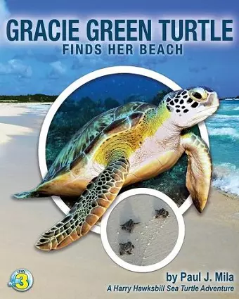 Gracie Green Turtle Finds Her Beach cover