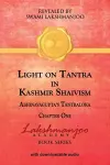 Light on Tantra in Kashmir Shaivism cover