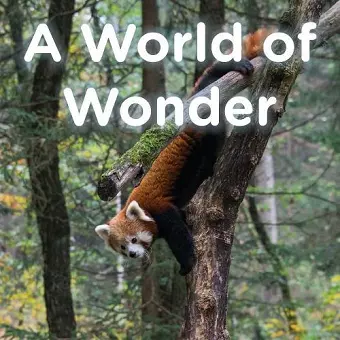 A World of Wonder cover