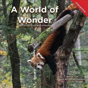 A World of Wonder cover