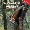 A World of Wonder cover