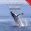 A World of Wonder cover