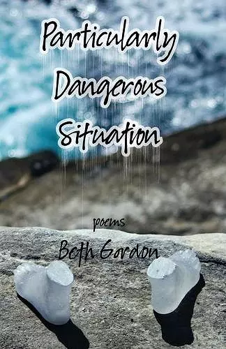 Particularly Dangerous Situation cover