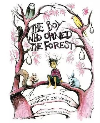 The Boy Who Owned the Forest cover