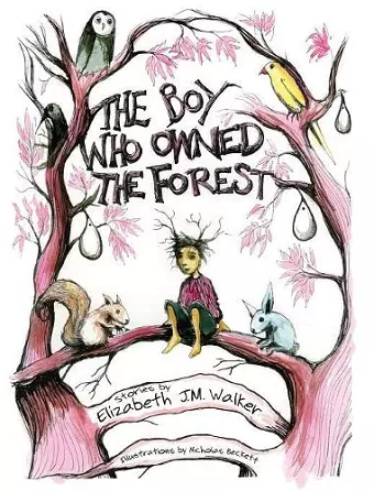 The Boy Who Owned the Forest cover