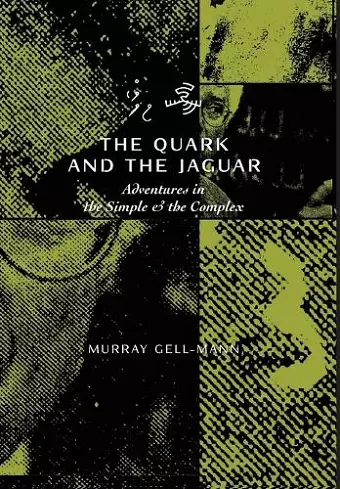 The Quark & the Jaguar cover