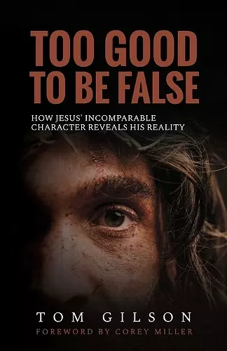 Too Good to Be False cover