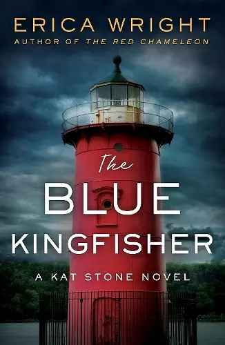 The Blue Kingfisher cover