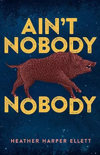 Ain't Nobody Nobody cover