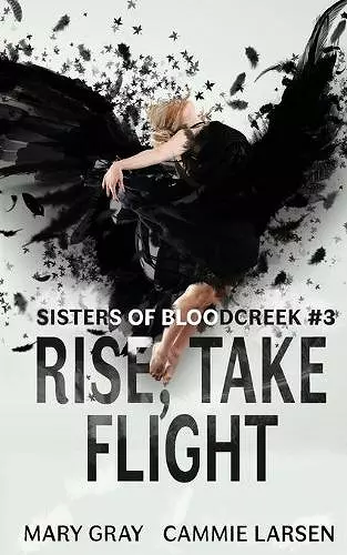 Rise, Take Flight cover