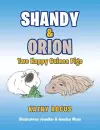 Shandy & Orion cover