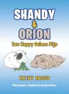 Shandy & Orion cover