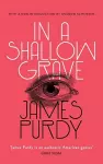 In a Shallow Grave (Valancourt 20th Century Classics) cover