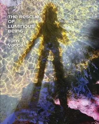 The Rescue of Luminous Being cover