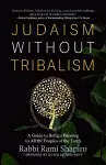 Judaism Without Tribalism cover