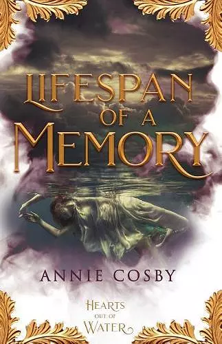 Lifespan of a Memory cover