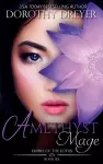Amethyst Mage cover