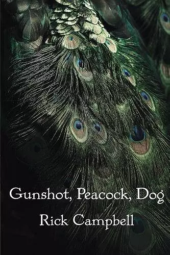 Gunshot, Peacock, Dog cover
